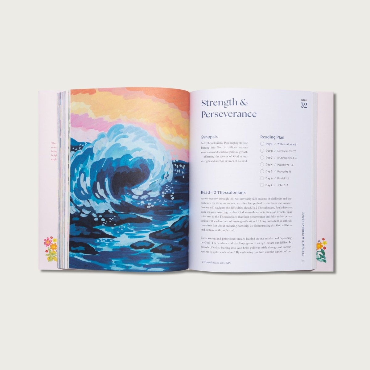 A Beautiful Year in the Bible